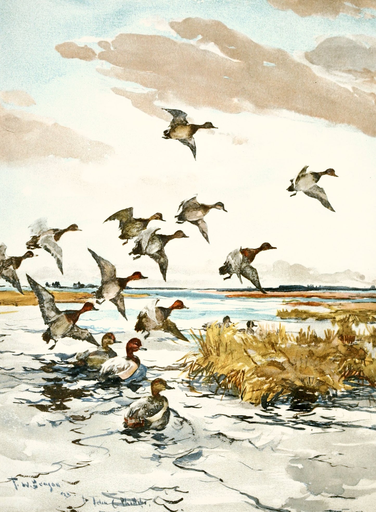 Cabeças vermelhas chegando - Frank Weston Benson