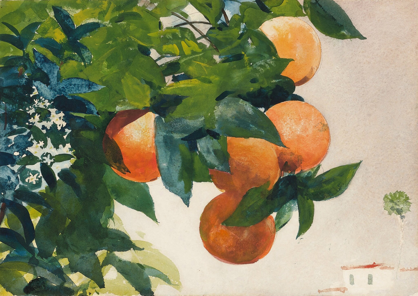 Laranjas em um galho - Winslow Homer