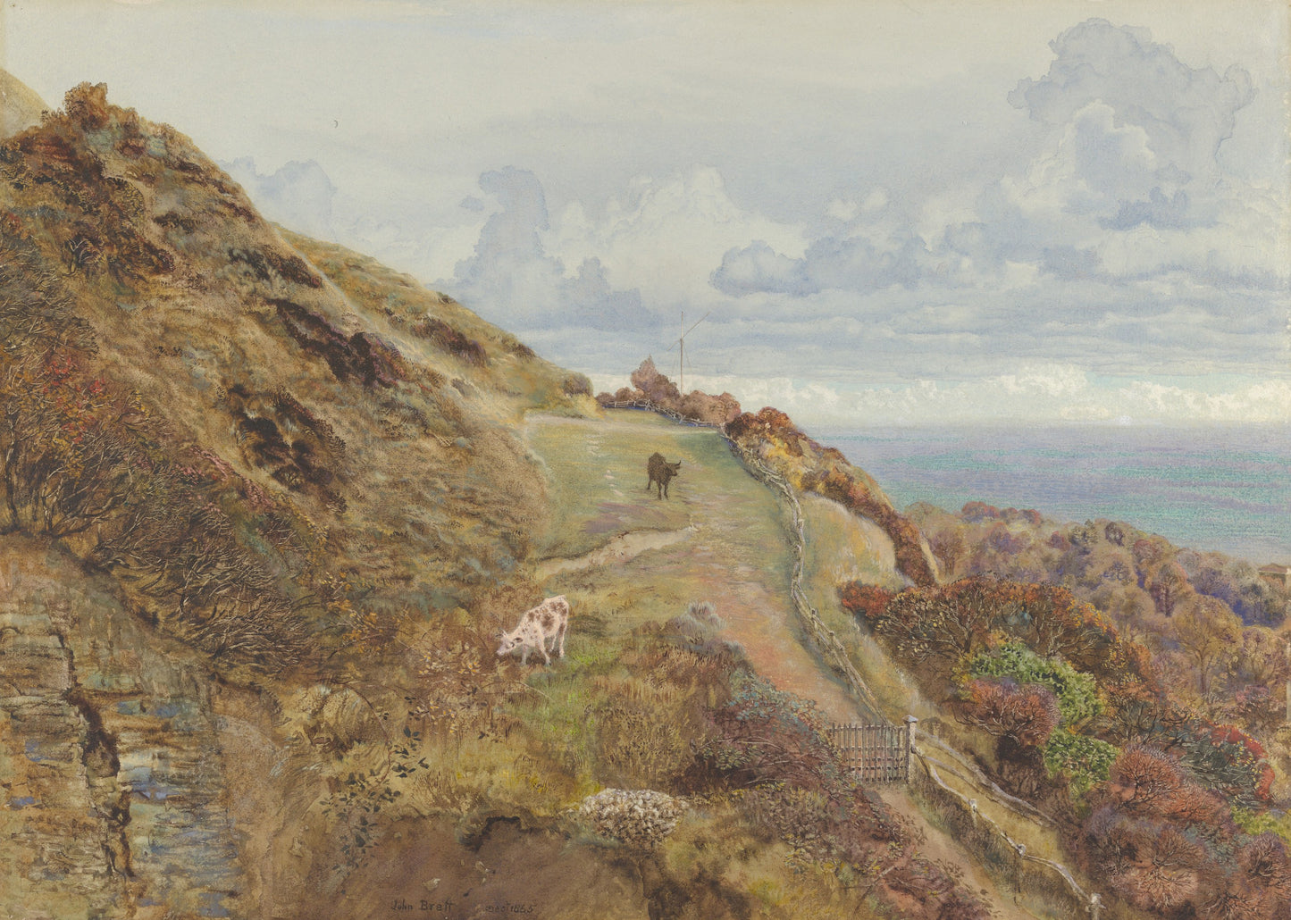 Bonchurch Downs - John Brett