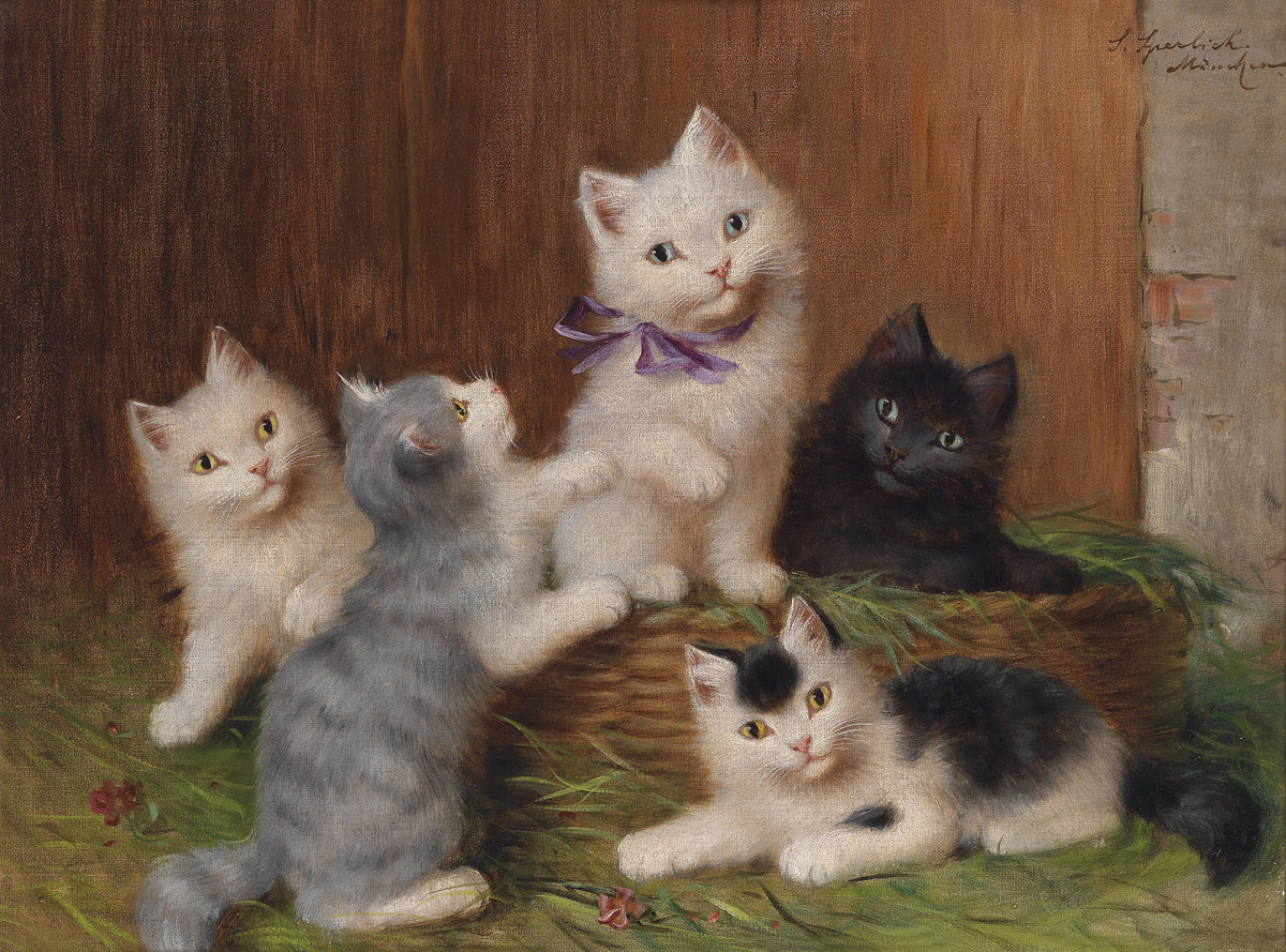 Gatinhos - Sophie Sperlich