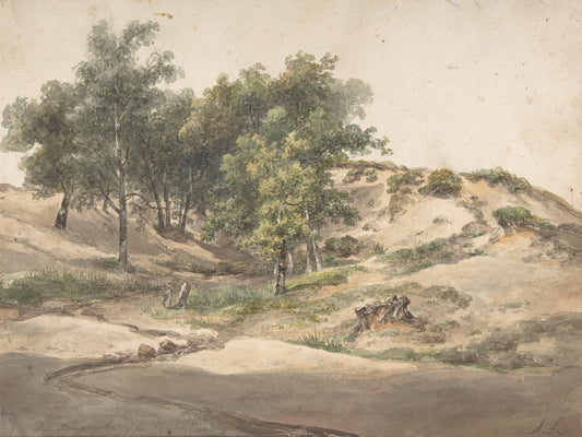 Uma paisagem arborizada - Andreas Schelfhout