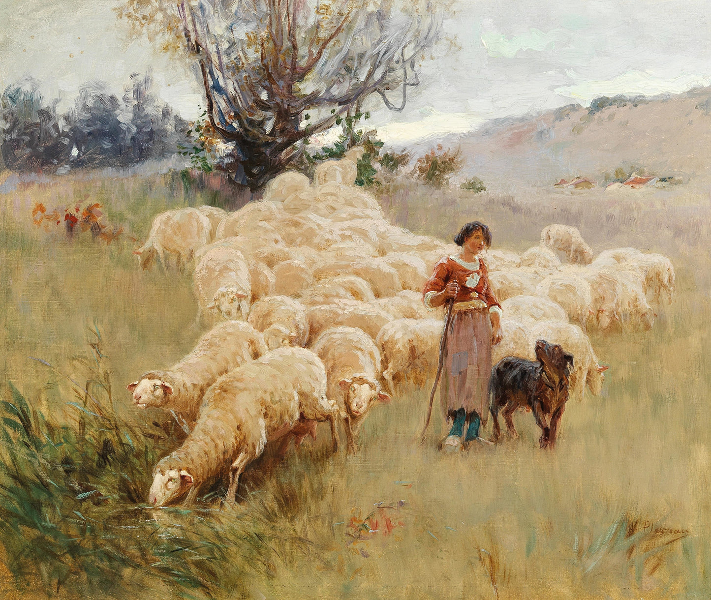 Um rebanho de ovelhas - Alfred Plauzeau