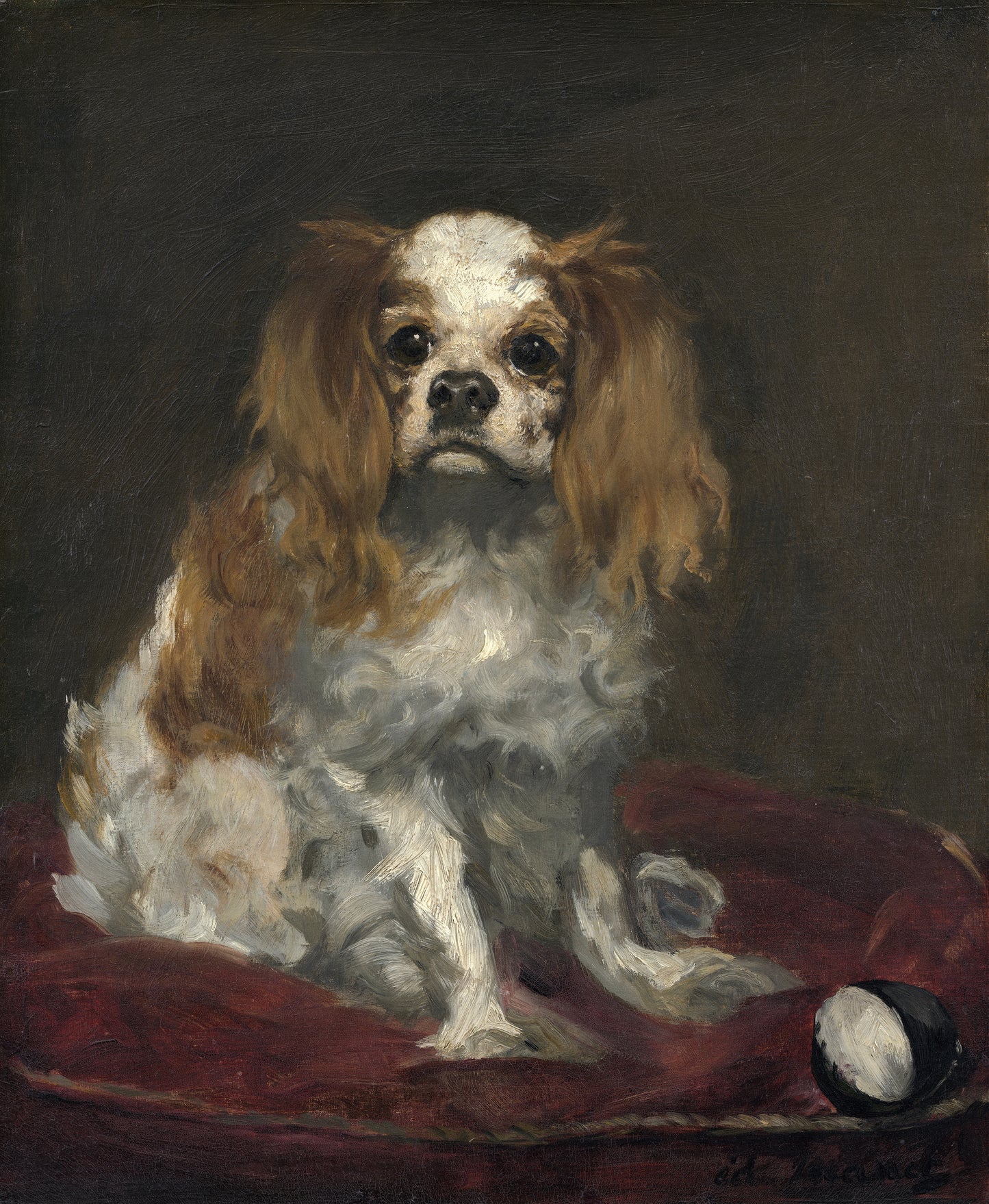 Um spaniel do Rei Charles - Édouard Manet