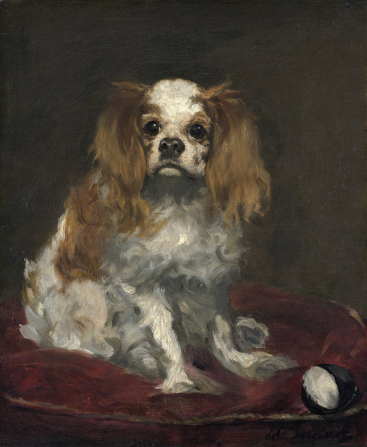 Um spaniel do Rei Charles - Édouard Manet